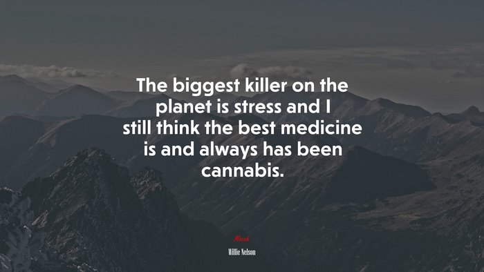 The biggest killer on the planet is stress and I still think the best medicine is and always has been cannabis. | Willie Nelson quote