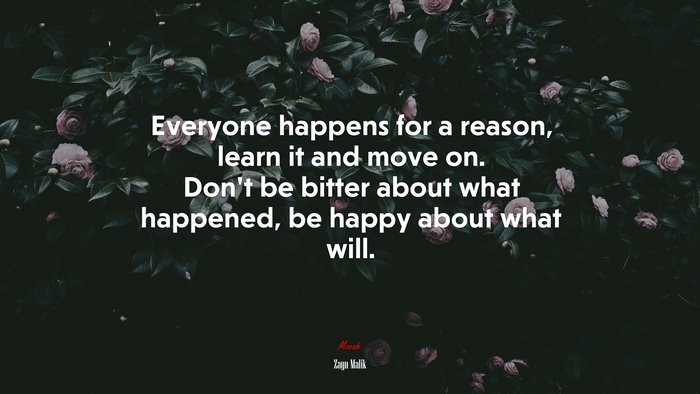 Everyone happens for a reason, learn it and move on. Don’t be bitter about what happened, be happy about what will. | Zayn Malik quote