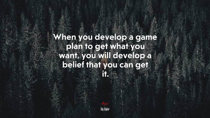When you develop a game plan to get what you want, you will develop a belief that you can get it. | Zig Ziglar quote