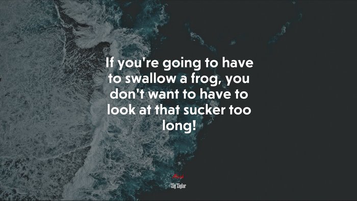 If you’re going to have to swallow a frog, you don’t want to have to look at that sucker too long! | Zig Ziglar quote