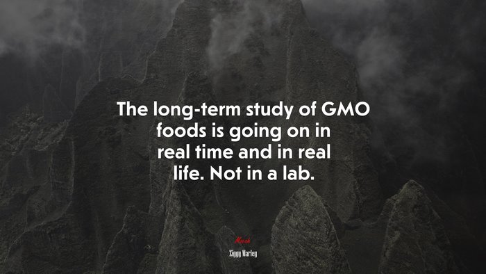 The long-term study of GMO foods is going on in real time and in real life. Not in a lab. | Ziggy Marley quote