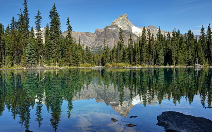 Mountain reflected in a clear lake with pine trees