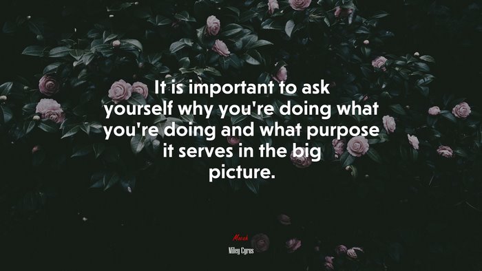 It is important to ask yourself why you’re doing what you’re doing and what purpose it serves in the big picture. | Miley Cyrus quote