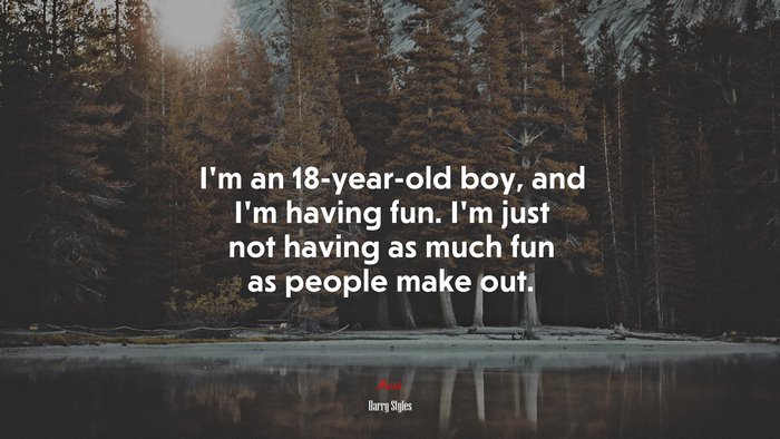 I’m an 18-year-old boy, and I’m having fun. I’m just not having as much fun as people make out. | Harry Styles quote