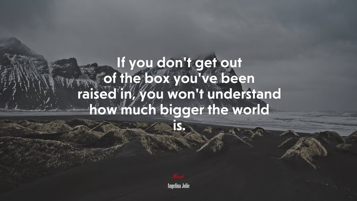 If you don’t get out of the box you’ve been raised in, you won’t understand how much bigger the world is. | Angelina Jolie quote