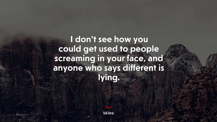 I don’t see how you could get used to people screaming in your face, and anyone who says different is lying. | Niall Horan quote
