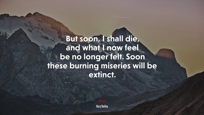 But soon, I shall die, and what I now feel be no longer felt. Soon these burning miseries will be extinct. | Mary Shelley quote