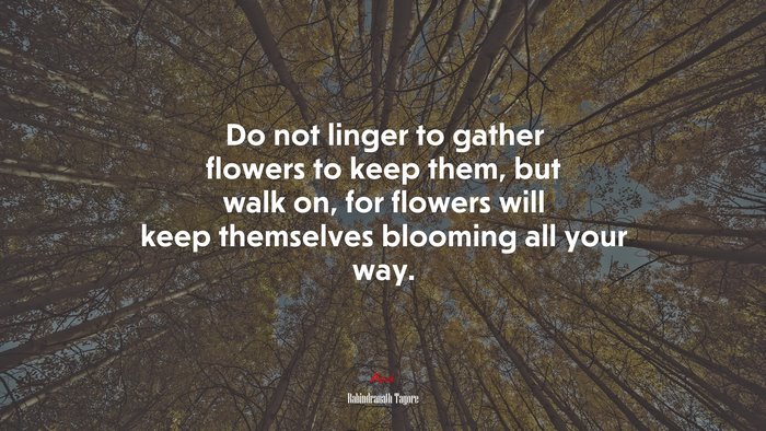 Do not linger to gather flowers to keep them, but walk on, for flowers will keep themselves blooming all your way. | Rabindranath Tagore quote