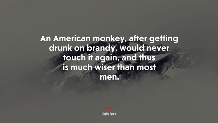 An American monkey, after getting drunk on brandy, would never touch it again, and thus is much wiser than most men. | Charles Darwin quote