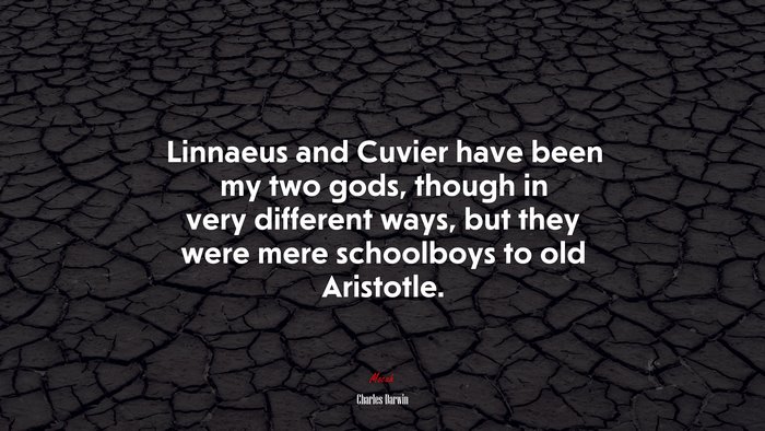 Linnaeus and Cuvier have been my two gods, though in very different ways, but they were mere schoolboys to old Aristotle. | Charles Darwin quote