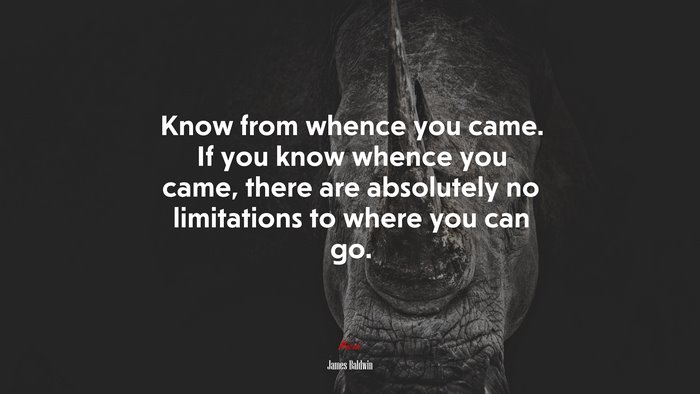 Know from whence you came. If you know whence you came, there are absolutely no limitations to where you can go. | James Baldwin quote