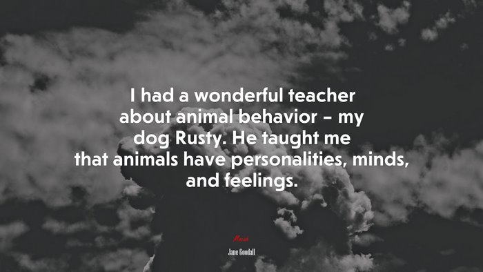 I had a wonderful teacher about animal behavior – my dog Rusty. He taught me that animals have personalities, minds, and feelings. | Jane Goodall quote
