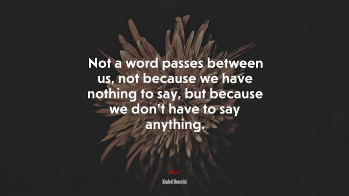 Not a word passes between us, not because we have nothing to say, but because we don’t have to say anything. | Khaled Hosseini quote