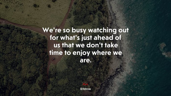 We’re so busy watching out for what’s just ahead of us that we don’t take time to enjoy where we are. | Bill Watterson quote