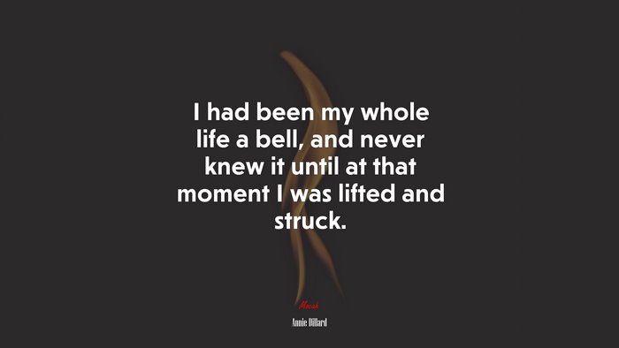 I had been my whole life a bell, and never knew it until at that moment I was lifted and struck. | Annie Dillard quote