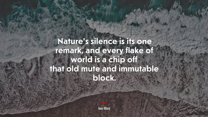 Nature’s silence is its one remark, and every flake of world is a chip off that old mute and immutable block. | Annie Dillard quote