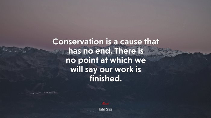 Conservation is a cause that has no end. There is no point at which we will say our work is finished. | Rachel Carson quote