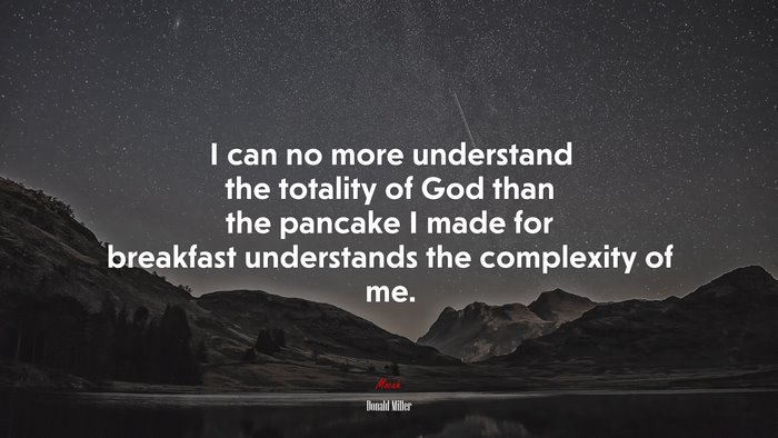 I can no more understand the totality of God than the pancake I made for breakfast understands the complexity of me. | Donald Miller quote