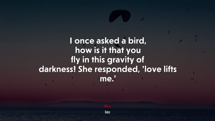 I once asked a bird, how is it that you fly in this gravity of darkness? She responded, ‘love lifts me.’ | Hafez quote