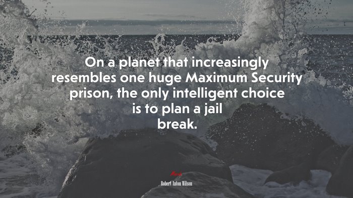 On a planet that increasingly resembles one huge Maximum Security prison, the only intelligent choice is to plan a jail break. | Robert Anton Wilson quote