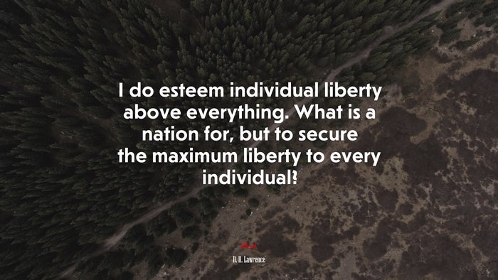 I do esteem individual liberty above everything. What is a nation for, but to secure the maximum liberty to every individual? | D. H. Lawrence quote