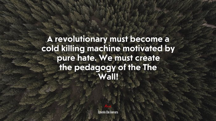 A revolutionary must become a cold killing machine motivated by pure hate. We must create the pedagogy of the The Wall! | Ernesto Che Guevara quote