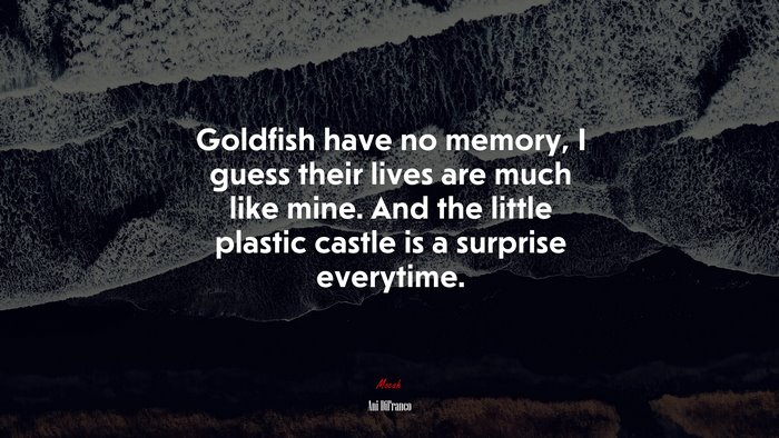 Goldfish have no memory, I guess their lives are much like mine. And the little plastic castle is a surprise everytime. | Ani DiFranco quote