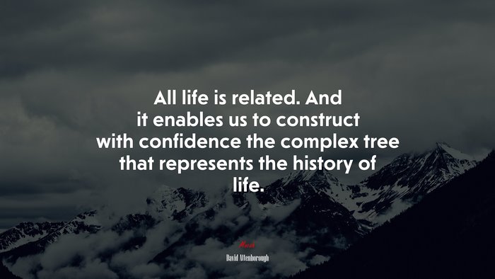 All life is related. And it enables us to construct with confidence the complex tree that represents the history of life. | David Attenborough quote