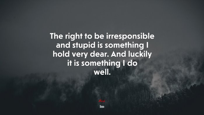 The right to be irresponsible and stupid is something I hold very dear. And luckily it is something I do well. | Bono quote
