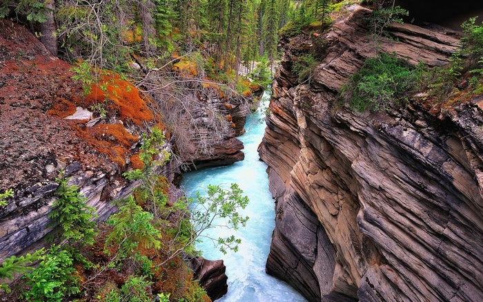 Turquoise river flowing through a rocky canyon with trees