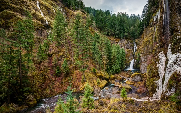 Waterfall cascading down a mossy cliff face
