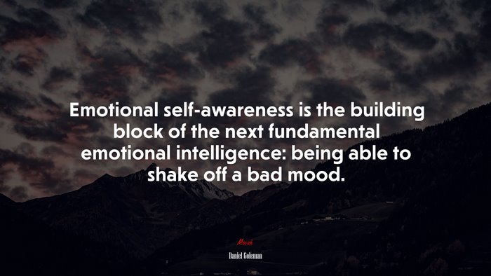 Emotional self-awareness is the building block of the next fundamental emotional intelligence: being able to shake off a bad mood. | Daniel Goleman quote