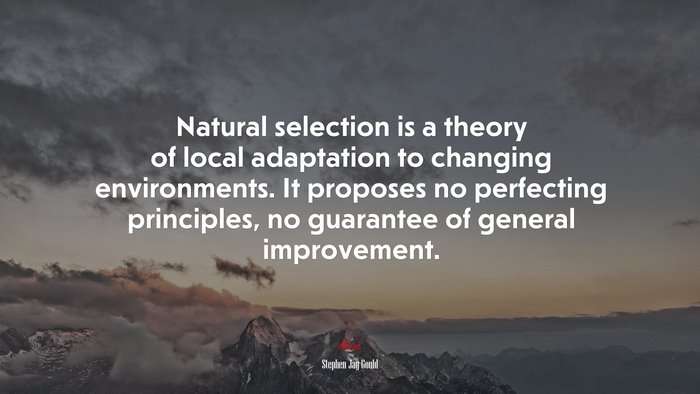 Natural selection is a theory of local adaptation to changing environments. It proposes no perfecting principles, no guarantee of general improvement. | Stephen Jay Gould quote
