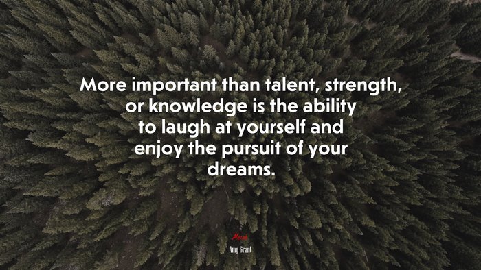 More important than talent, strength, or knowledge is the ability to laugh at yourself and enjoy the pursuit of your dreams. | Amy Grant quote
