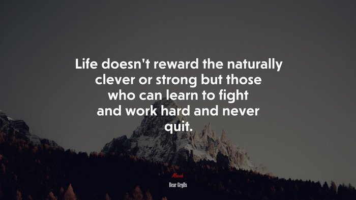 Life doesn’t reward the naturally clever or strong but those who can learn to fight and work hard and never quit. | Bear Grylls quote