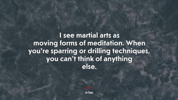 I see martial arts as moving forms of meditation. When you’re sparring or drilling techniques, you can’t think of anything else. | Joe Rogan quote