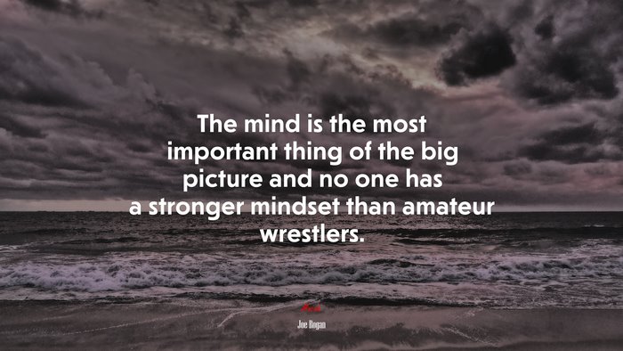 The mind is the most important thing of the big picture and no one has a stronger mindset than amateur wrestlers. | Joe Rogan quote
