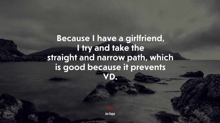 Because I have a girlfriend, I try and take the straight and narrow path, which is good because it prevents VD. | Joe Rogan quote