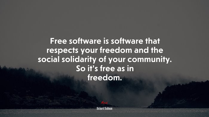 Free software is software that respects your freedom and the social solidarity of your community. So it’s free as in freedom. | Richard Stallman quote