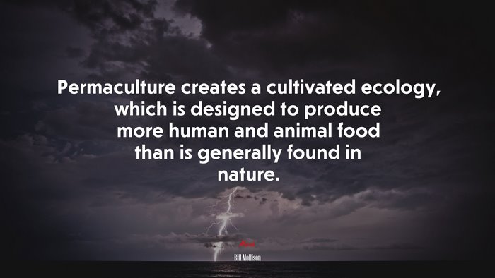 Permaculture creates a cultivated ecology, which is designed to produce more human and animal food than is generally found in nature. | Bill Mollison quote