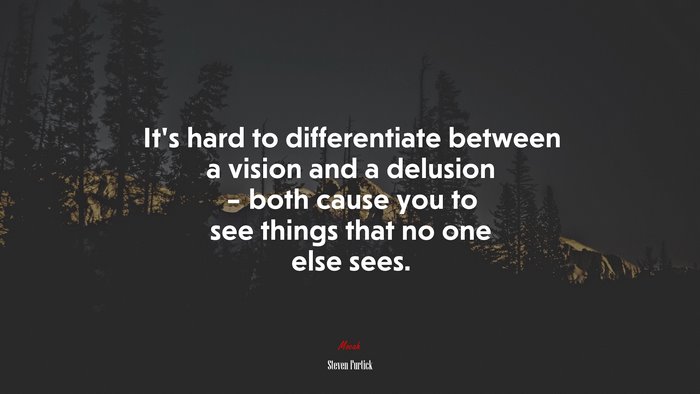 It’s hard to differentiate between a vision and a delusion – both cause you to see things that no one else sees. | Steven Furtick quote