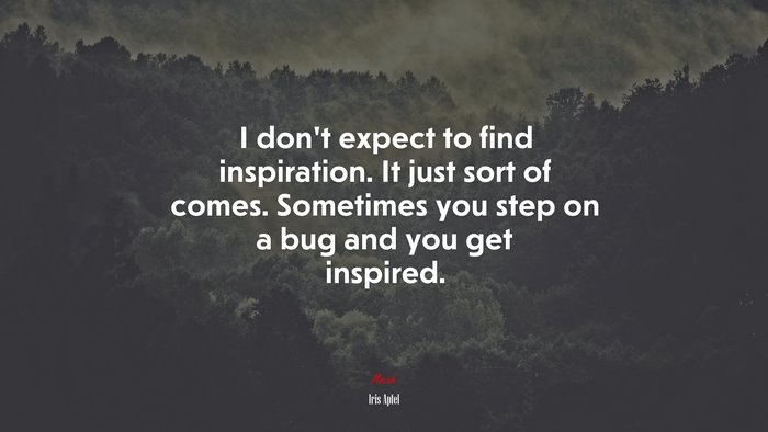 I don’t expect to find inspiration. It just sort of comes. Sometimes you step on a bug and you get inspired. | Iris Apfel quote