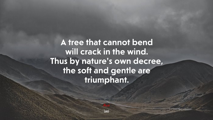 A tree that cannot bend will crack in the wind. Thus by nature’s own decree, the soft and gentle are triumphant. | Laozi quote