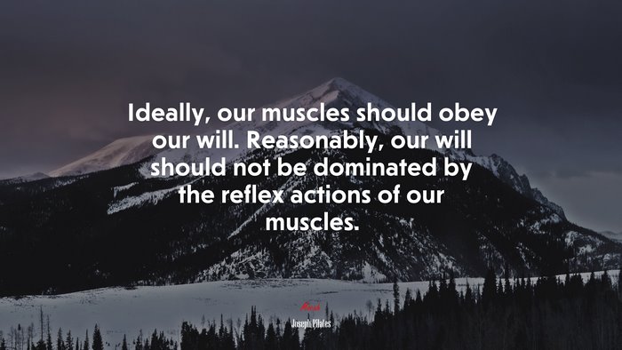 Ideally, our muscles should obey our will. Reasonably, our will should not be dominated by the reflex actions of our muscles. | Joseph Pilates quote