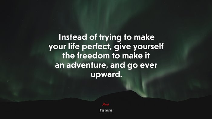 Instead of trying to make your life perfect, give yourself the freedom to make it an adventure, and go ever upward. | Drew Houston quote