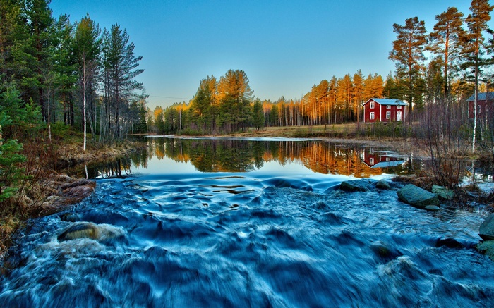 Red house by a river in a forest
