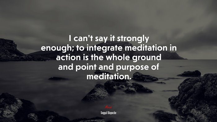 I can’t say it strongly enough; to integrate meditation in action is the whole ground and point and purpose of meditation. | Sogyal Rinpoche quote