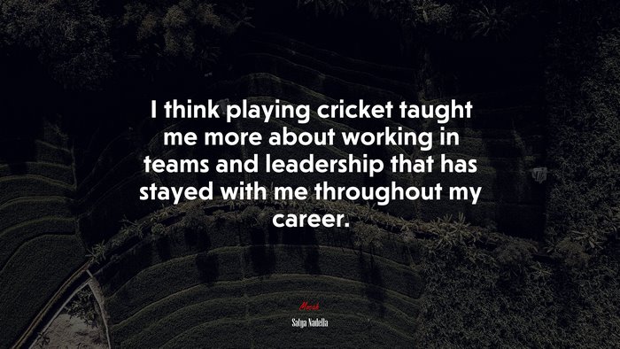 I think playing cricket taught me more about working in teams and leadership that has stayed with me throughout my career. | Satya Nadella quote