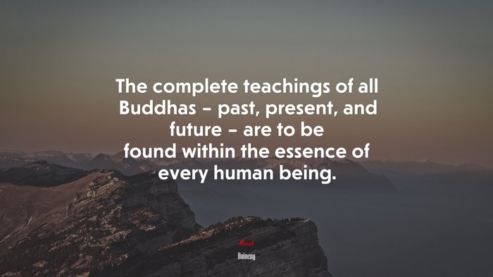 The complete teachings of all Buddhas – past, present, and future – are to be found within the essence of every human being. | Huineng quote