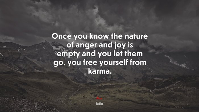 Once you know the nature of anger and joy is empty and you let them go, you free yourself from karma. | Buddha quote